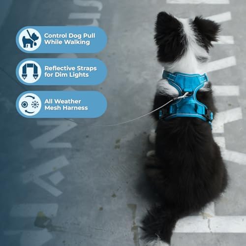 Voyager Dual Attachment No Pull Harness - Turquoise, Medium - Image 6