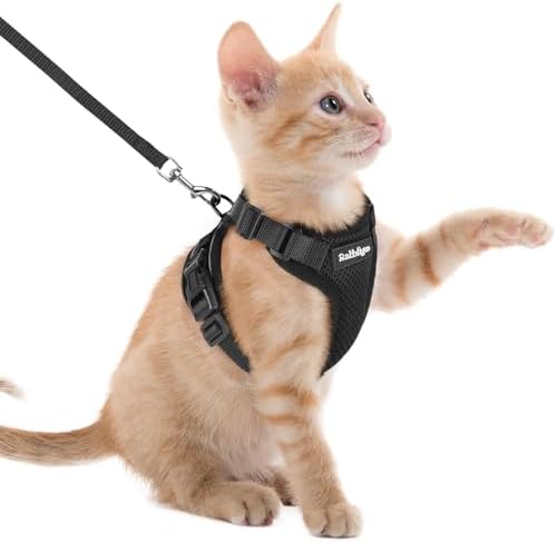 rabbitgoo Cat Harness and Leash Set, Escape Proof Vest, Black by rabbitgoo