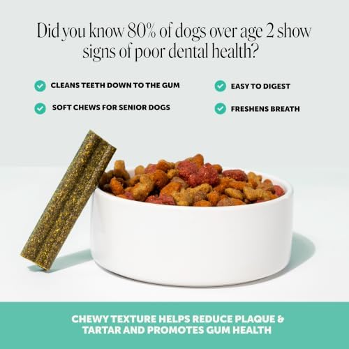 Pet Honesty Vet Backed Dog Dental Treats for Fresh Breath, Mint, 16 Ct - Image 2