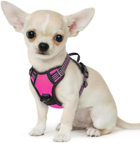 Eagloo Dog Harness for Small Dogs, No Pull Pet Vest with 2 Leash Clips by GoExplorewithEagloo