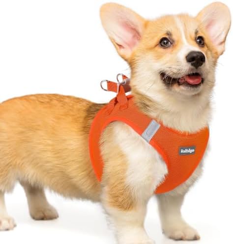rabbitgoo Step-in Small Dog Harness, Puppy Vest for Small Medium Sized Pet by rabbitgoo