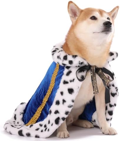 Lovelyshop Royal Velvet Pet Cloak, Blue, M/Regular by Lovelyshop