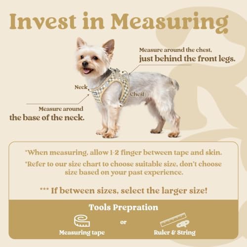 rabbitgoo Step-in Small Dog Harness, Puppy Vest for Small Sized Pet - Image 2