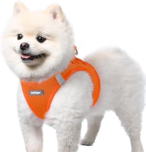 rabbitgoo Step-in Small Dog Harness, Puppy Vest for Small Sized Pet by rabbitgoo