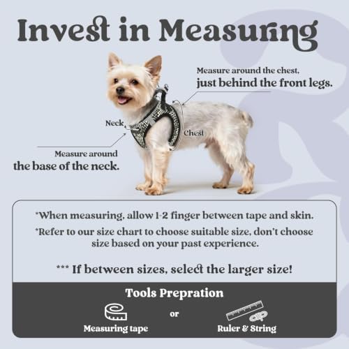 rabbitgoo Step-in Small Dog Harness, Puppy Vest for Small Sized Pet - Image 2