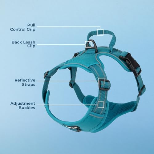 Voyager Dual Attachment No Pull Harness - Turquoise, Medium - Image 4