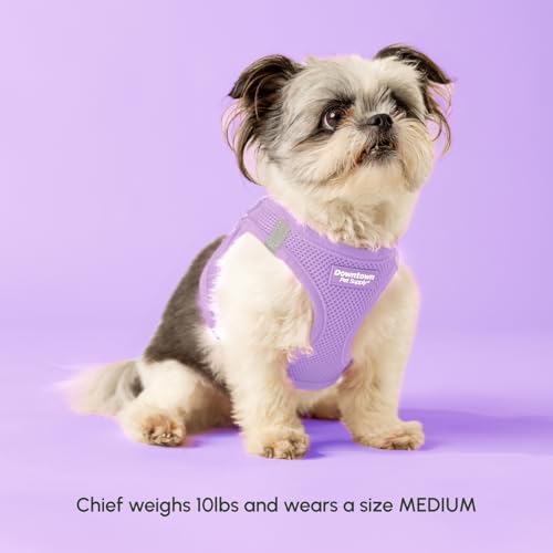 Downtown Pet Supply Step in Dog Harness for Large Dogs - Adjustable, Escape Proof Dog Harness with Reflective Trim - All-Weather, Fast-Drying Padded Mesh Fabric - Lilac, XL - Image 2