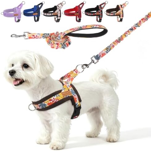BEAUTYZOO Small Dog Harness and Leash Set, No Pull Step in Fall Puppy Vest by BEAUTYZOO