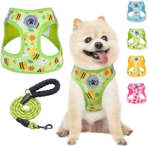 BEAUTYZOO Small Dog Harness and Leash Set, No Pull Puppy Pet Vest - Bee, XS by BEAUTYZOO