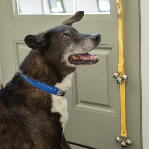 Caldwell's Pet Supply Co. Dog Potty Bells, Dog Bells to Go Outside, Hanging Dog Door Bell for Potty Training, Quality Bell for Dogs to Ring to Go Potty, Potty Bells for Dogs, New Puppy Training Tool - Image 6