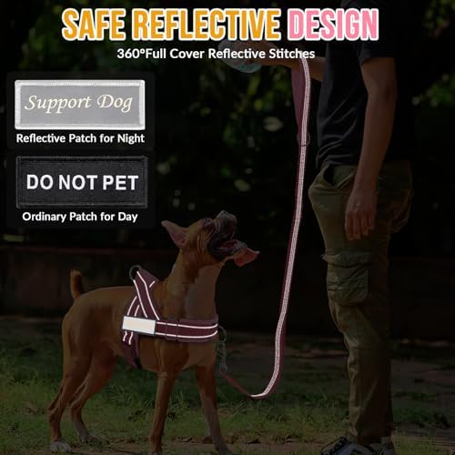 SlowTon No Pull Dog Harness and Leash Set - Heavy Duty, Soft Padded - Image 7