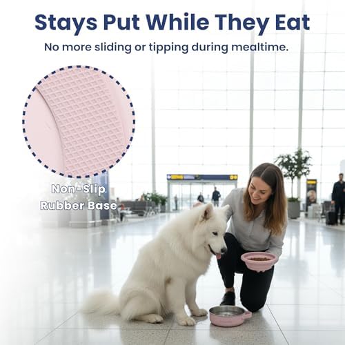 PawsPik 2-in-1 Travel Dog & Cat Bowl – Collapsible BPA-Free Silicone - Image 4