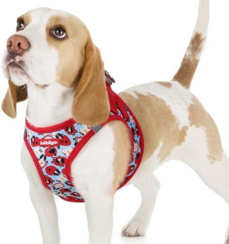 rabbitgoo Step-in Small Dog Harness, Puppy Vest for Small Sized Pet by rabbitgoo