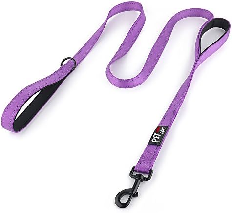 Plutus Pet Double Handle Dog Leash, 4 FT Long, for Medium Large Dogs by PLUTUSPET