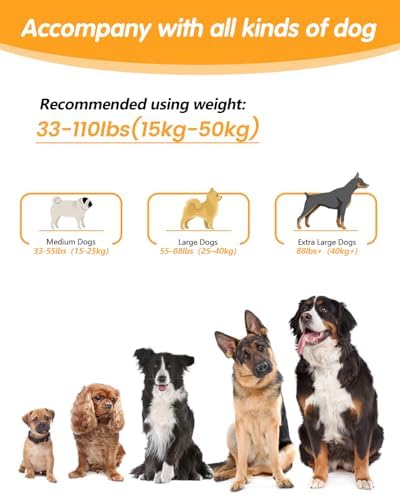 Hands Free Dog Leash, Multifunctional Crossbody Dog Leash - Image 2
