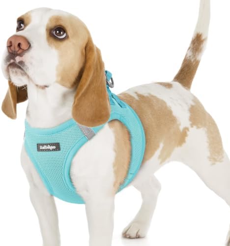 rabbitgoo Step-in Small Dog Harness, Puppy Vest for Small Sized Pet by rabbitgoo