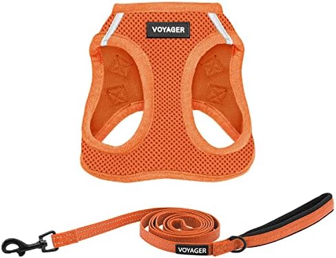 Best Pet Supplies Voyager Step-in Air All Weather Mesh Harness and Reflective Dog 5ft Leash Combo with Neoprene Handle, for Small, Medium and Large Breed Puppies - Orange, XXX-Small by BestPetSuppliesLLC