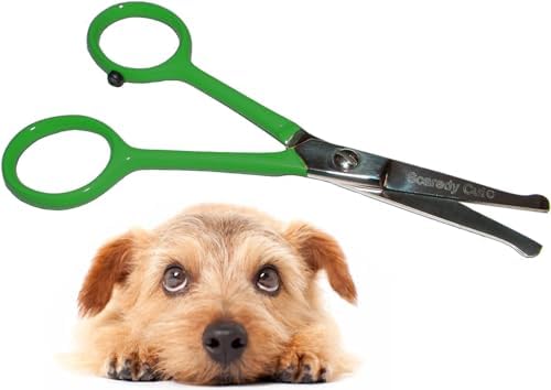 Tiny Trim 4.5" Ball-Tipped Scissor for Dog, Cat and all Pet Grooming - Ear, Nose, Face & Paw - Scaredy Cut's small Safety Scissor by ScaredyCut