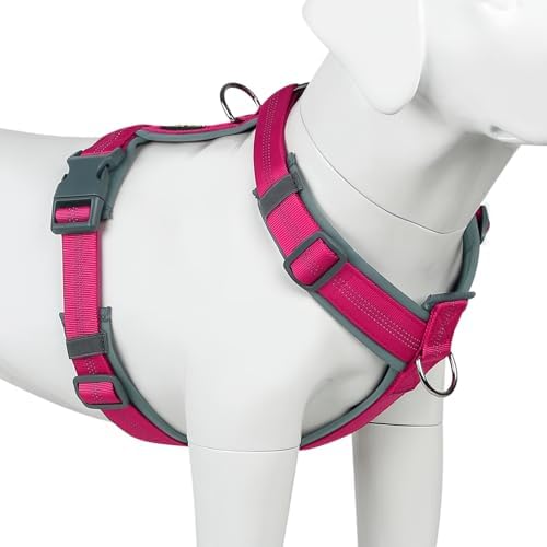 Plutus Pet No Pull Dog Harness, Adjustable Nylon Harness with Soft Padding by PLUTUSPET
