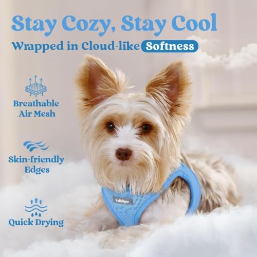 rabbitgoo Step-in Small Dog Harness, Puppy Vest for Small Sized Pet - Image 3