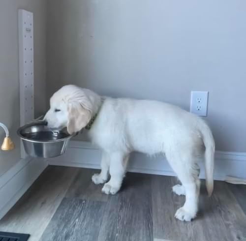 Adjust-a-Bowl Pet Feeder - Image 5