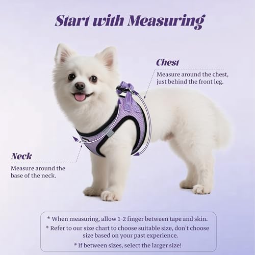 No Pull Dog Puppy Harness and Leash Set Reflective Mesh Vest X-Small - Image 2