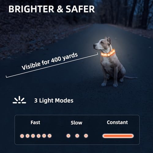Super Bright LED Dog Collar, Waterproof Light up Collars(Orange, Large) - Image 5