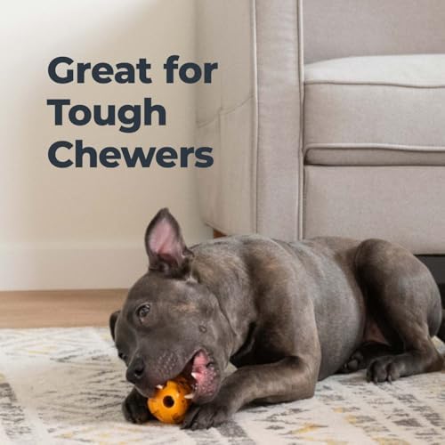Oxyfresh Dog Dental Chew Toy - Best Dog Teeth Cleaning Toy – A Simple Bite and Brush Toy that Helps Remove Plaque, Cleans Teeth & Freshens Breath Without Brushing - Small - Image 5