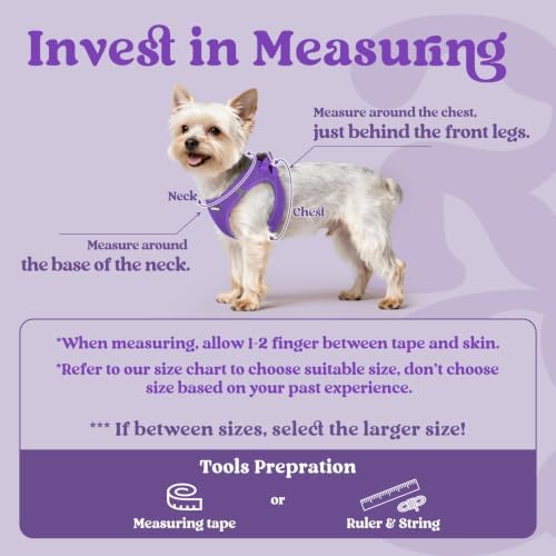 rabbitgoo Step-in Small Dog Harness, Puppy Vest for Small Sized Pet - Image 2