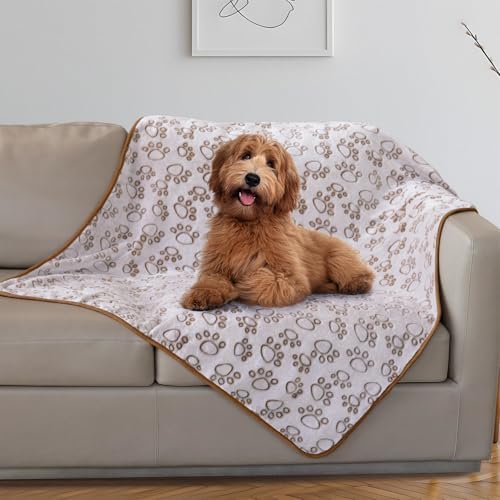Stuffed Large Brown Premium Soft Dog Blanket, with Flannel Cute Paw Print, 43 * 66 inches, Cat Blanket Maltipoo Puppy Essentials by STUFFED