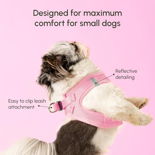 Downtown Pet Supply Step in Dog Harness for Large Dogs - Adjustable, Escape Proof Dog Harness with Reflective Trim - All-Weather, Fast-Drying Padded Mesh Fabric - Baby Pink, L - Image 4