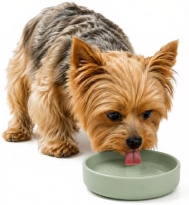 The Perfect Dish - Silicone Dog Bowl for Food & Water, 6" x 1.25"-Sage by ShouldWeGo