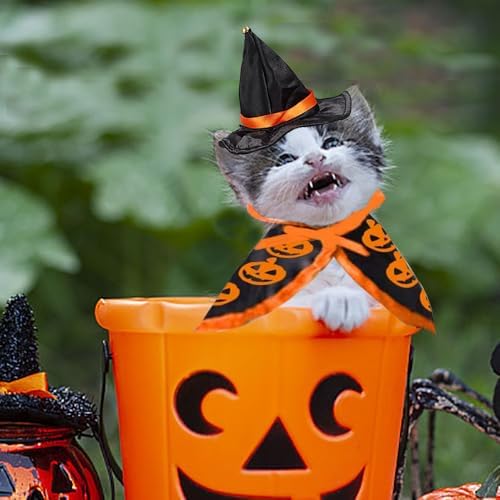 Halloween Cat Costume Cloak Witch Hat Pet Accessories Halloween Adjustable Pumpkin Pet Costumes Clothes Set, Halloween pet Costume Decor Cloak for Cats Dogs Puppy Halloween Carnival Party Supplies - Image 5
