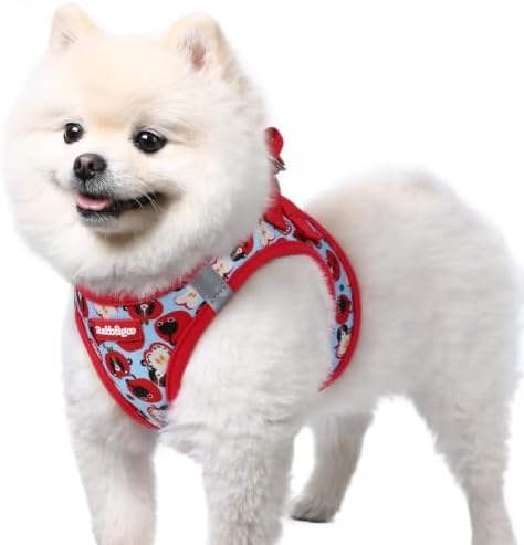 rabbitgoo Step-in Small Dog Harness, Puppy Vest for Small Sized Pet by rabbitgoo