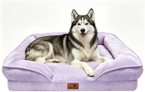 Spotted Play Orthopedic Dog Bed with Sides - Sofa Beds for Large Dogs, Supportive Foam Pet Couch Bed with Washable Removable Cover, Waterproof Lining and Non-Slip Bottom, Purple - L-Plus by Spotted+Play