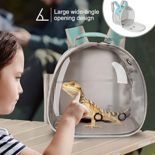 Guinea Pig Backpack Carrier, Bearded Dragon Carrier Backpack with Clear Bubble Window,Small Animal Travel Backpack for Hedgehog Rat，Chameleon,Rabbit,Sugar Glider,Airline Approved (Green, Backpack) - Image 6