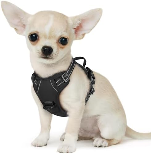 Eagloo Dog Harness for Small Dogs, No Pull Pet Vest with 2 Leash Clips by GoExplorewithEagloo
