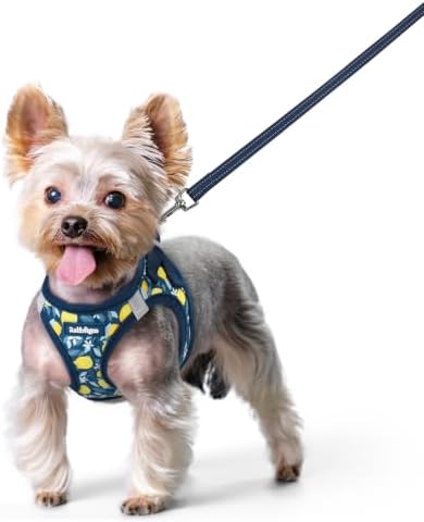 rabbitgoo Dog Harness Small Sized and Leash Set, Step-in Puppy Pet Vest by rabbitgoo