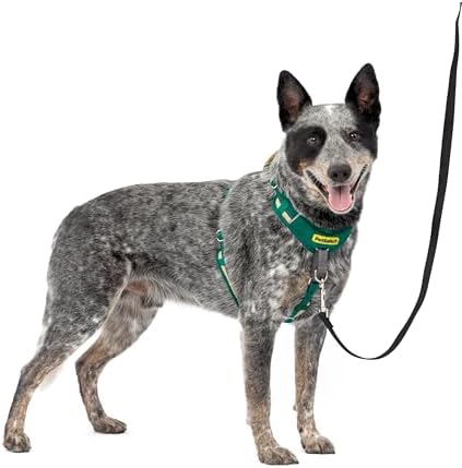 PetSafe Easy Walk Comfort No Pull Dog Harness, Green, Medium by PetSafe