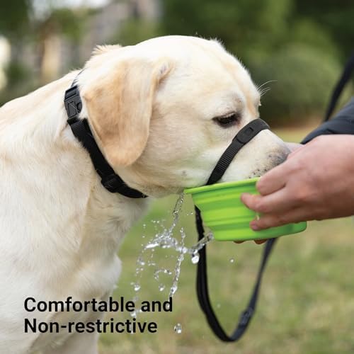 SVD.PET No-Pull Dog Headcollar for Easier Walks, Chew-Proof Protector to Increase Comfort, Simple Design, Easy to Wear and Adjust (Large Size for Medium and Large Size Dogs, Pink) - Image 6