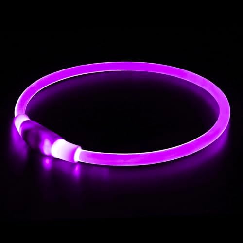 Light up Dog Collar, BSEEN USB Rechargeable Led Flash Dog Necklace Collar by BSEEN