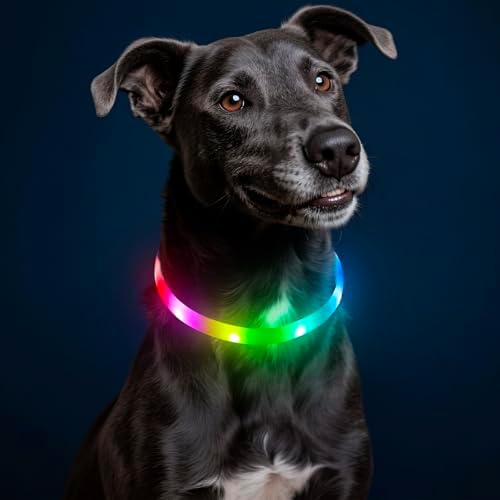 HIGO RGB LED Dog Collar Light - USB Rechargeable Light Up Dog Collars, Safety LED Dog Necklace for Your Dogs Walking at Night (Multi-Color) by Higo