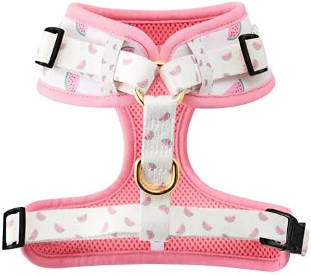 Wagging Tail Premium No Pull Dog Harness - Adjustable, Soft, Cute Dog Vest for Medium, Large & Small Dogs (Watermelons, Large) - Image 2