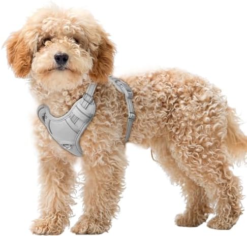 BARKBAY Dog Harness for Small Sized Dog No Pull Dog Vest ID Tag Pocket by BARKBAY