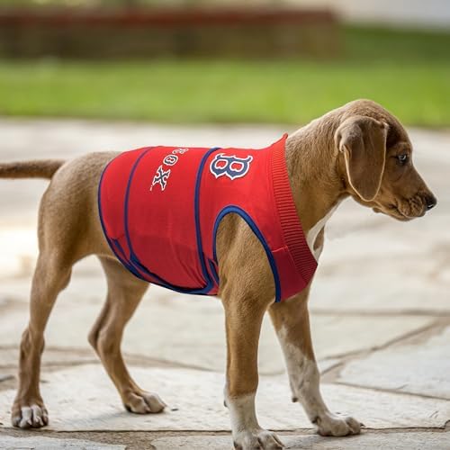 MLB Boston RED SOX Dog Anxiety Shirt Calming Soothing Vest, for Dogs & Cats with Anxiety, Fears, Fireworks, Loud Noises, Dark, Lonely Keeps Dogs Calm & Feeling Safe, Relaxing Jacket, Small - Image 6