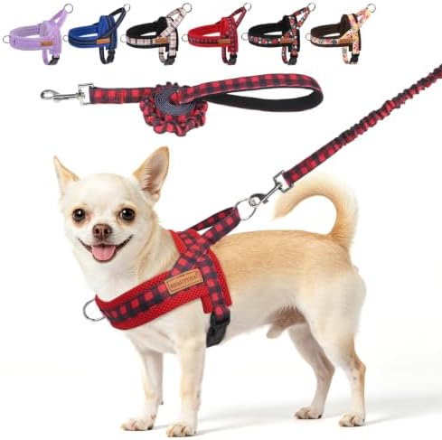 BEAUTYZOO Small Dog Harness and Leash Set, No Pull Step in Puppy Vest by BEAUTYZOO