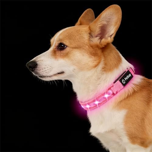 Super Bright LED Dog Collar, Waterproof Light up Collars(Pink, X-Small) by PetIsay