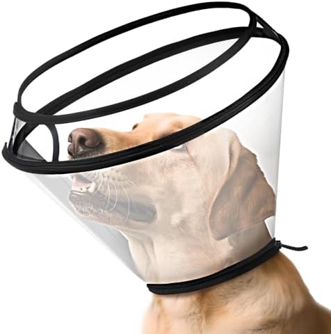 Dog Cone Collar for Surgery Recovery,Adjustable Transparent Pet Recovery Collar for Large Medium Small Dogs & Cats, Protective Elizabethan E-Collar for Wound Healing, Anti-Lick & Bite-M by BONTHEE