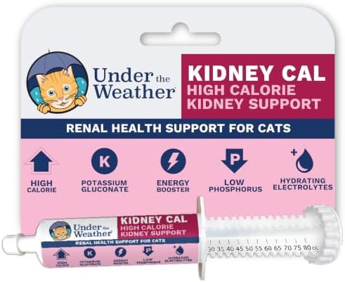 Under The Weather Pet Kidney Cal for Cats 80cc | High Calorie Cat Kidney Support Supplement with Low Phosphorus, Potassium Gluconate & Electrolytes | Vet Formulated Salmon Flavor Gel by UndertheWeather