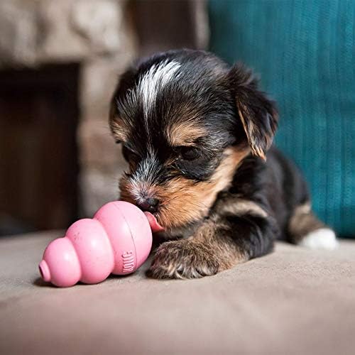 KONG Puppy, Natural Rubber Teething Chew Toy, for XS Puppies, Blue - Image 3